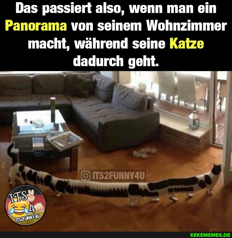 Das passiert also, wenn man ein
Panorama von seinem Wohnzimmer macht, während seine Katze
dadurch geht.
er),
ITS2FUNNYAU