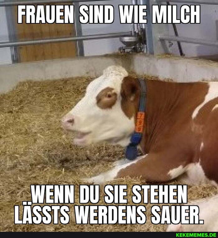 FRAUEN SIND WIE MILCH
.WENN DU SIE STEHEN LÄSSTS WERDENS SAUER.