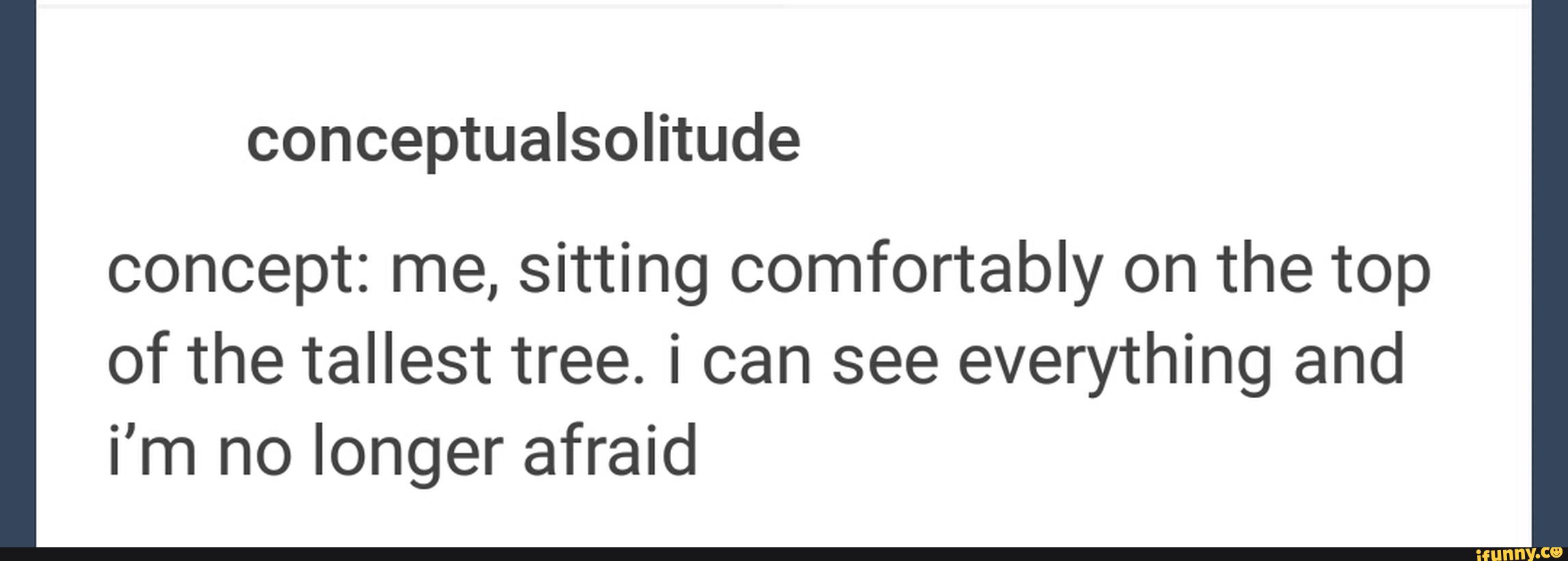 conceptualsolitude
concept: me, sitting comfortably on the top
of the tallest tree. i can see everything and
i’m no longer afraid