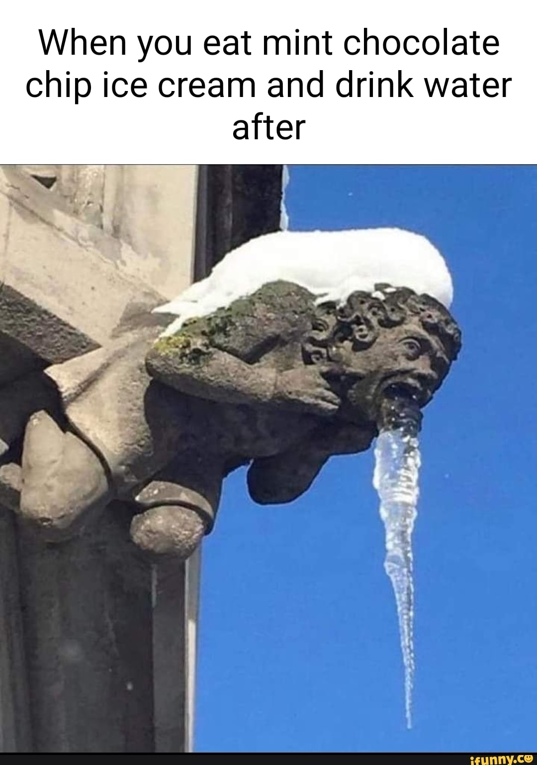 Icecream memes. Best Collection of funny Icecream pictures on iFunny