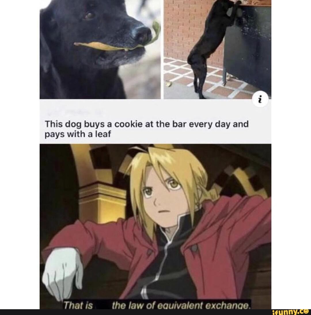 This dog buys a cookie at the bar every day and
pays with a leaf