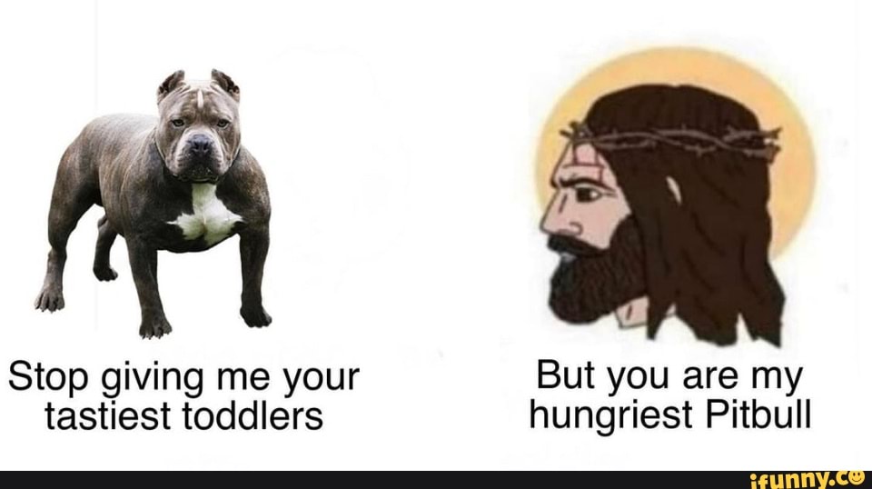 Stop giving me your But you are my tastiest toddlers hungriest Pitbull