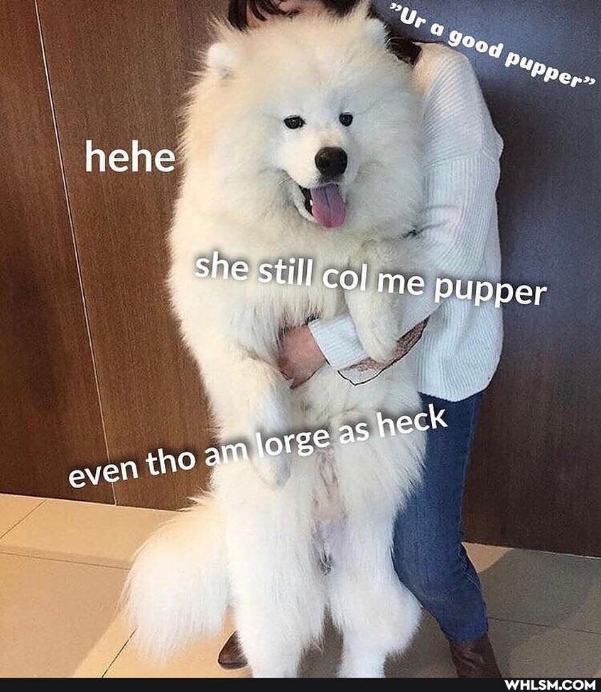 hehe
she still cof me pupper
heck even tho
nlorge 4
