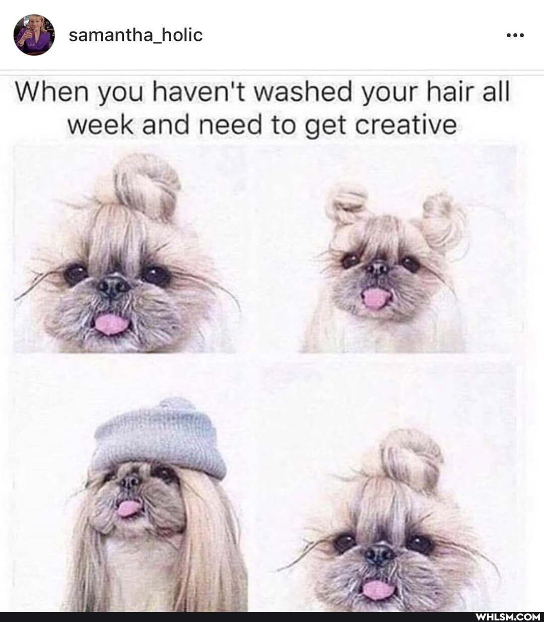 When you haven't washed your hair all week and need to get creative
AW