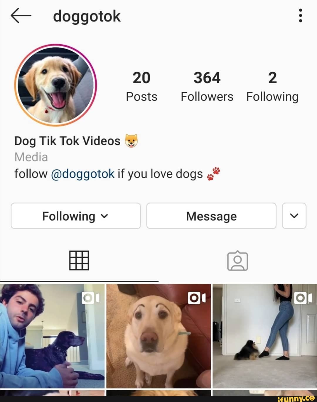 Doggotok 20 364 2 Posts Followers Following Dog Tik Tok Videos Media ...