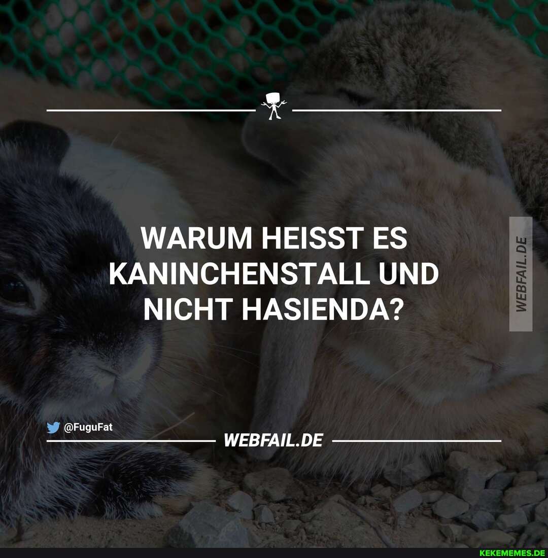 WARUM HEISST ES KANINCHENSTALL UND NICHT HASIENDA?
@FugurFat
WEBFAIL.DE