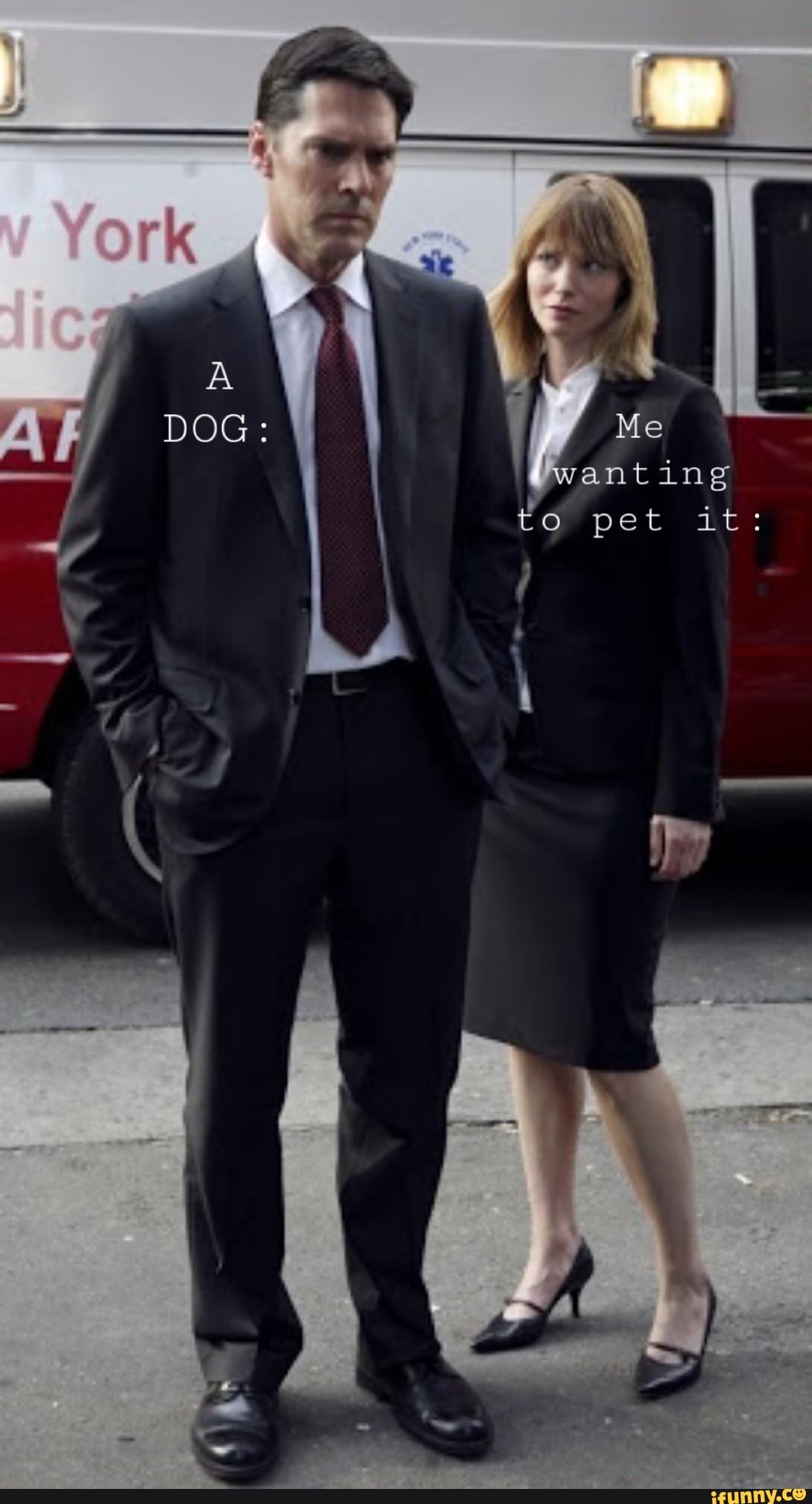 'wanting to pet it: