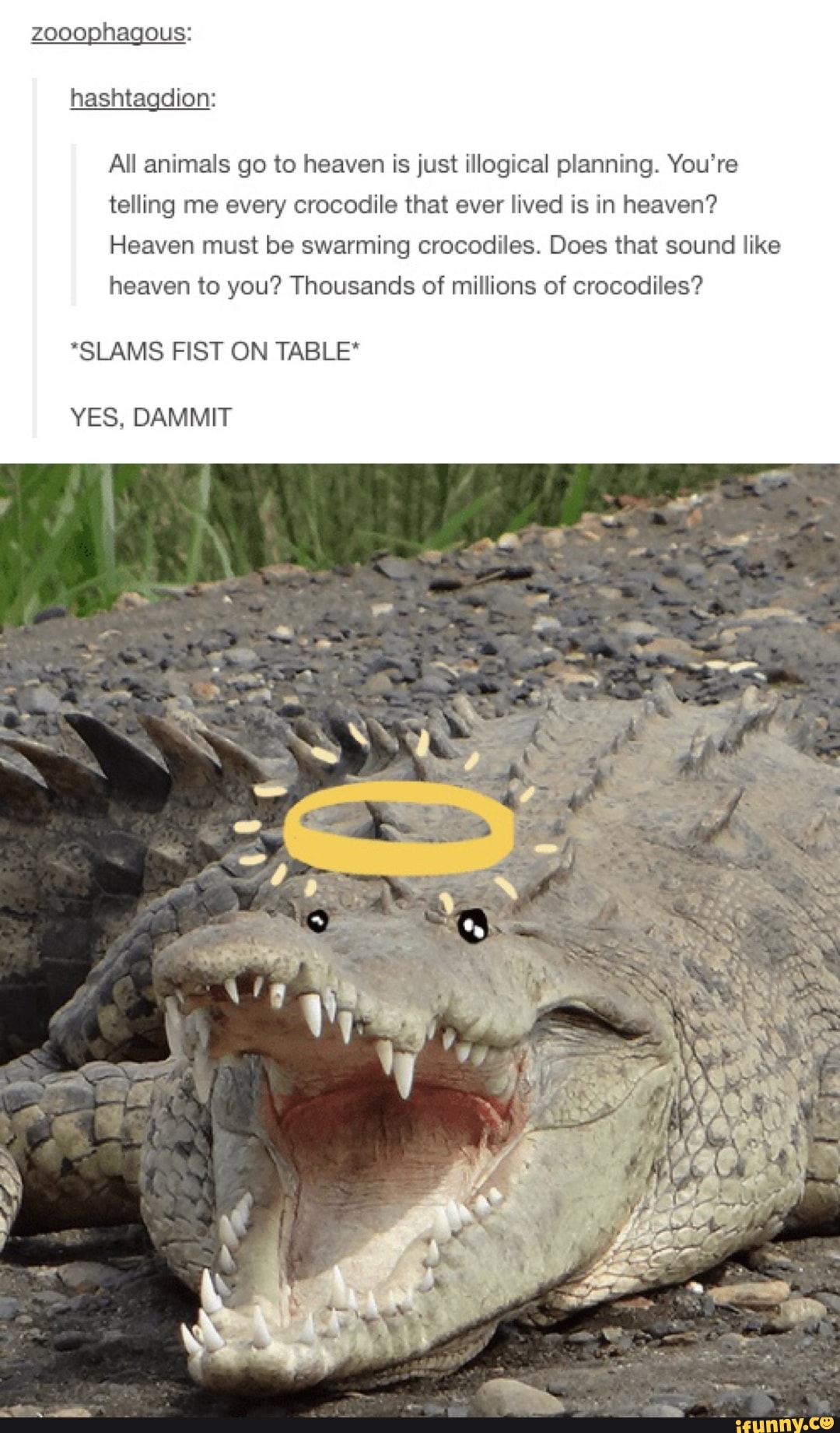 zooophagous:
hashtagdion:
All animals go to heaven is just illogical planning. You're
telling me every crocodile that ever lived is in heaven?
Heaven must be swarming crocodiles. Does that sound like
heaven to you? Thousands of millions of crocodiles?
*SLAMS FIST ON TABLE*
YES, DAMMIT
