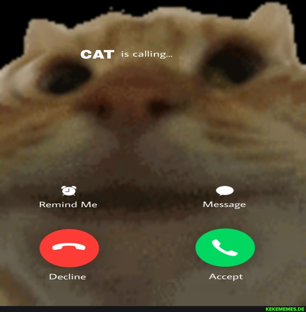 CAT is calling... Remind Me Decline Message Accept
