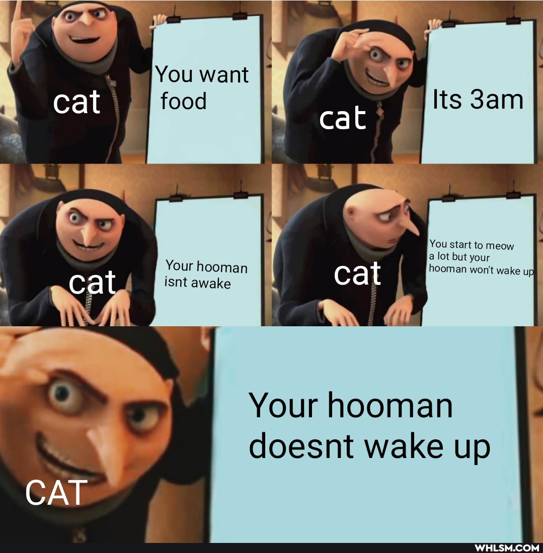 You want
cat I food
I You start lot but your
Your isnt hooman awake at heemen won't wale
I tsnt
Your hooman doesnt wake up
CAT