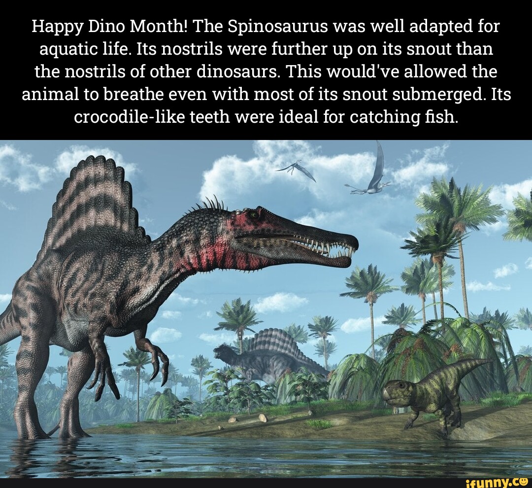 Happy Dino Month! The Spinosaurus was well adapted for aquatic life ...