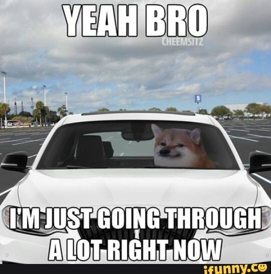 YEAH BRO
4, rMJUST GOING THROUGH
~ ALOTRIGHTNOW