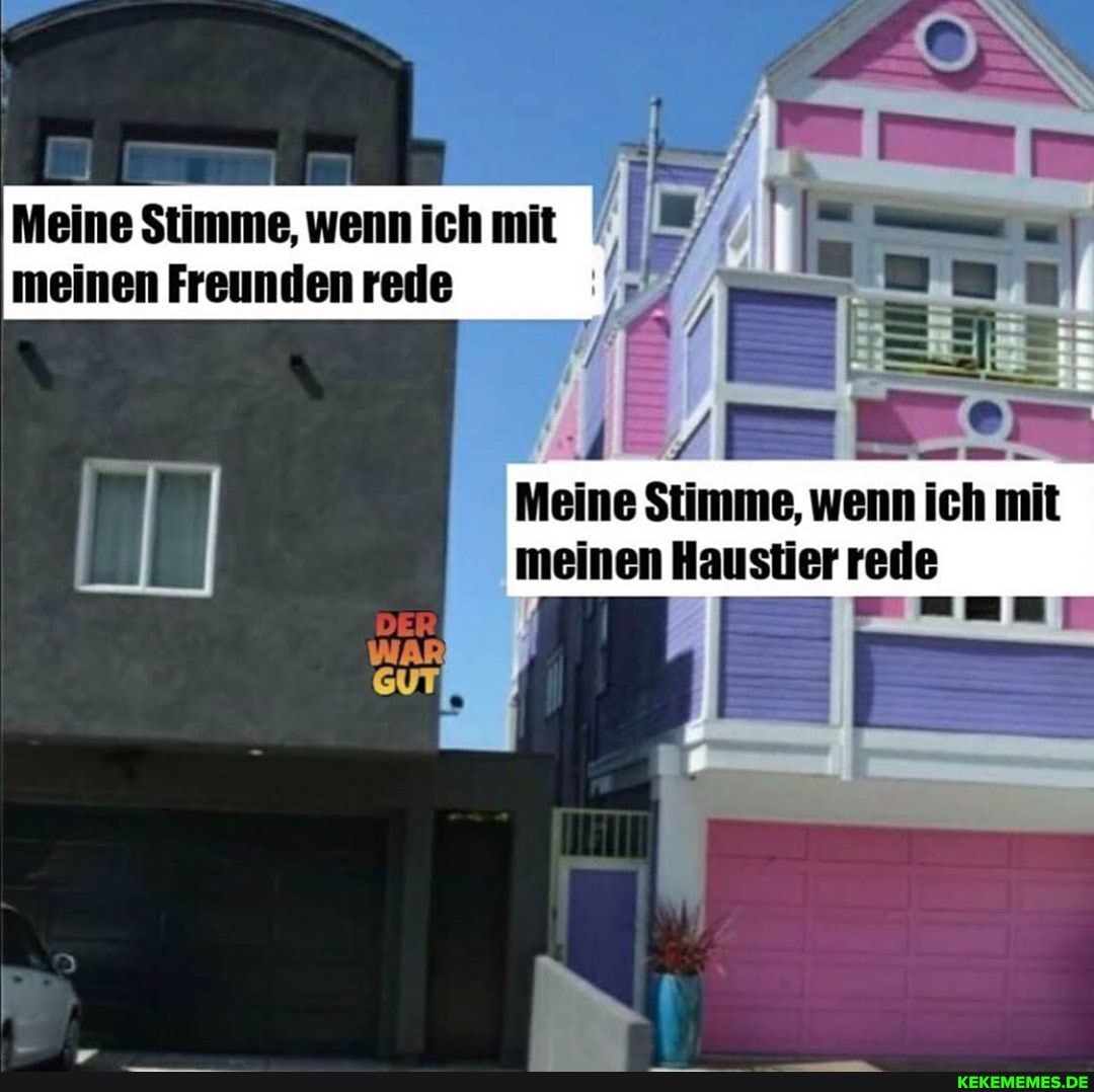 Meine Stimme, wenn ich mit meinen Freunden rede
Meine Stimme, wenn ich mit meinen Haustier rede