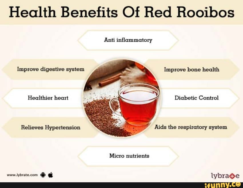 Health Benefits Of Red Rooibos Anti inflammatory Improve digestive