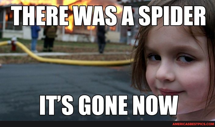 THERE WAS A SPIDER
IT'S GONE NOW