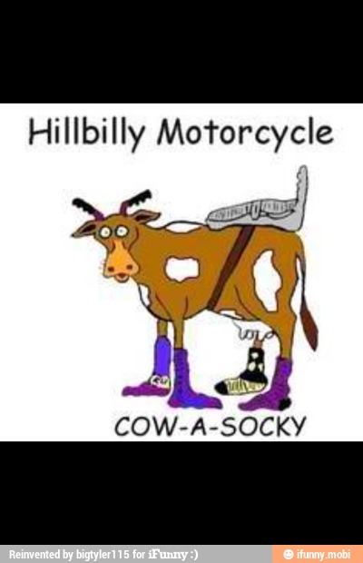 Hillbilly Motorcycle
a
COW-A-SOCKY