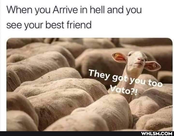 When you Arrive in hell and you see your best friend
They
got YOu too