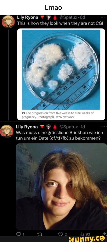 Lilyryona memes. Best Collection of funny Lilyryona pictures on iFunny