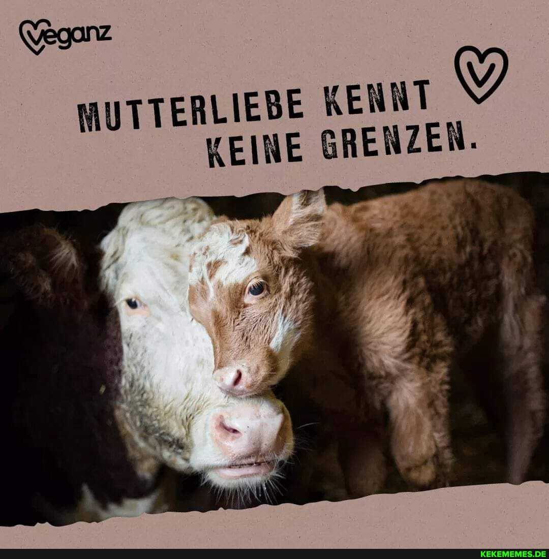 MUTTERLIEBE KENNT KEINE GRENZEN.