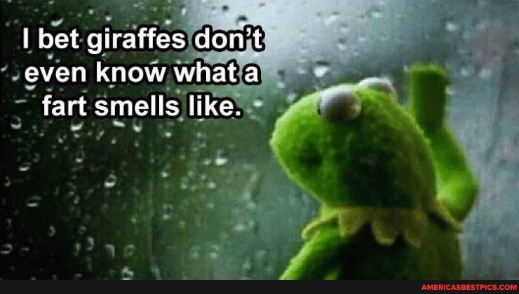 I bet giraffes don't even know what a fart smells like.
PE