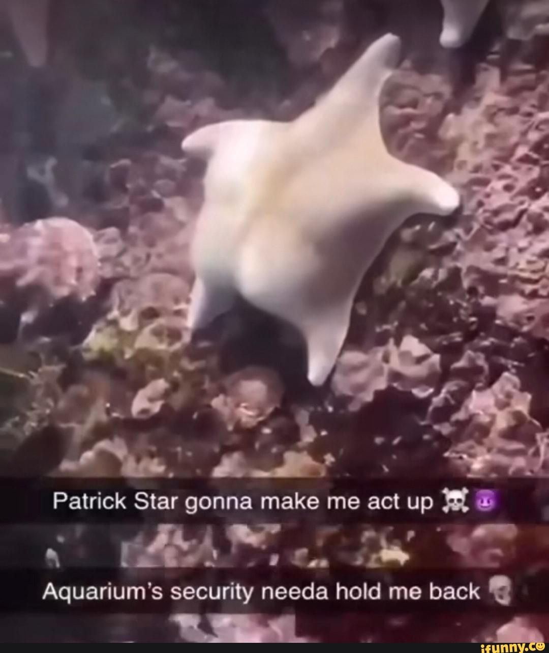 patrick star gonna make me act up