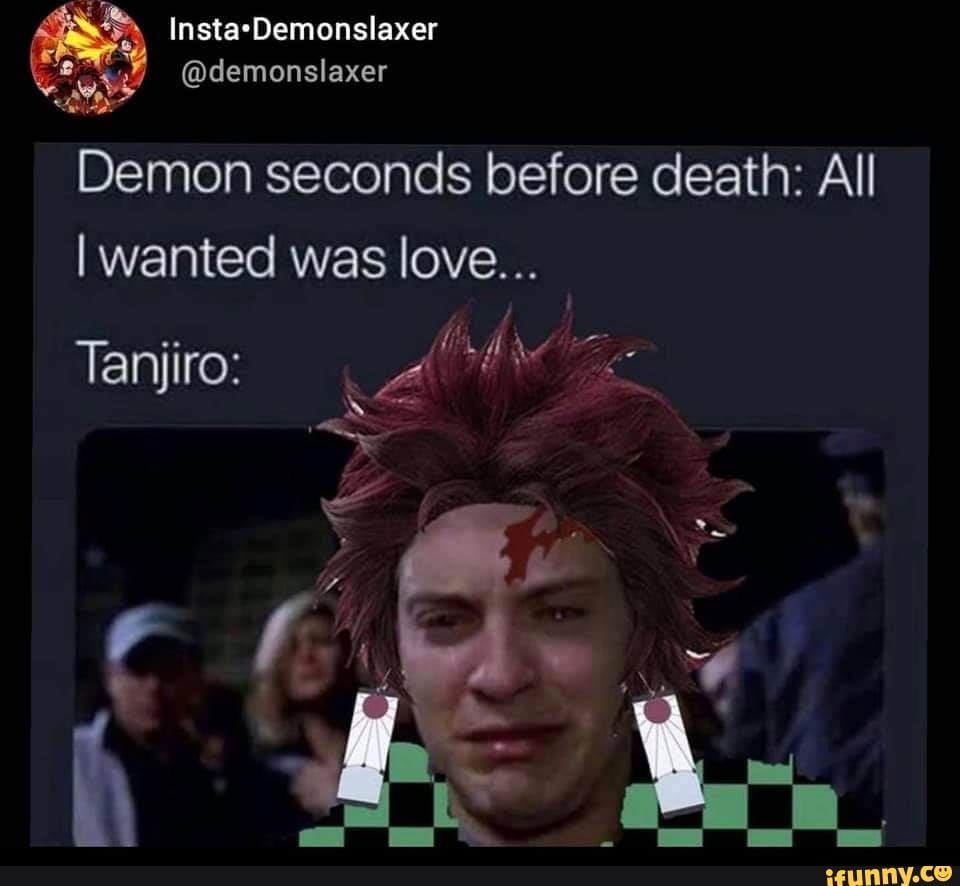 Insta*Demonslaxer Tanjiro: @demonslaxer Demon seconds before death: All ...