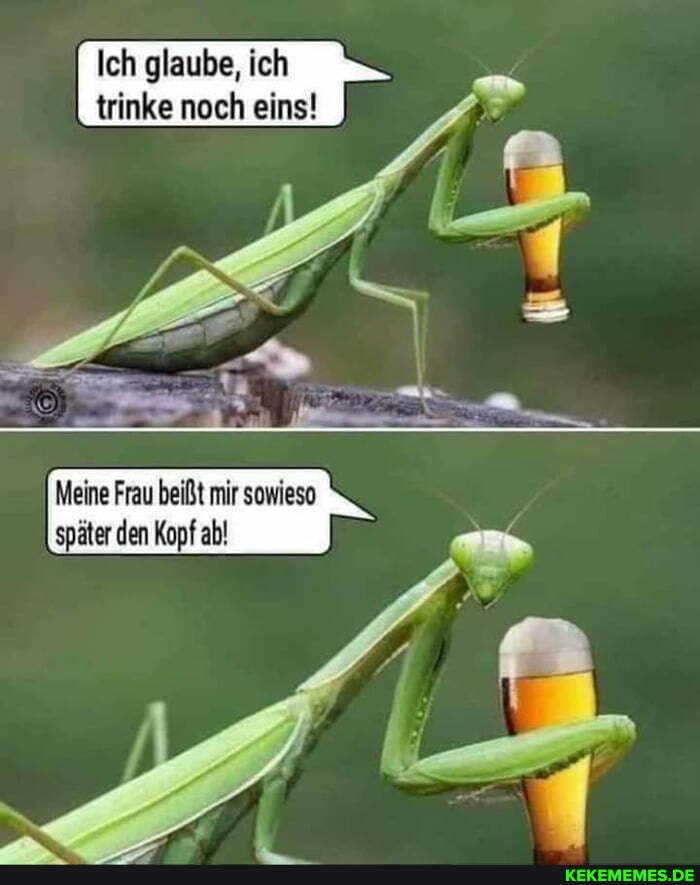 Ich glaube, ich
