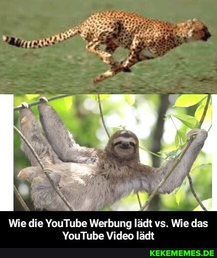 Wie die YouTube Werbung lädt vs. Wie das
YouTube Video lädt - Wie die YouTube Werbung lädt vs. Wie das YouTube Video lädt