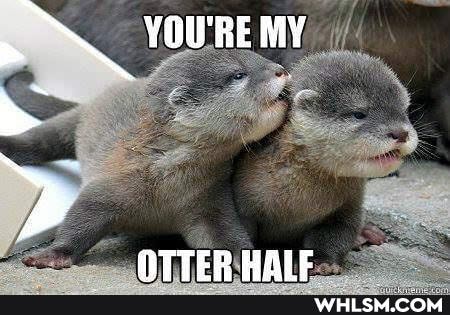 YOU'RE MY
OTTER WAIEC