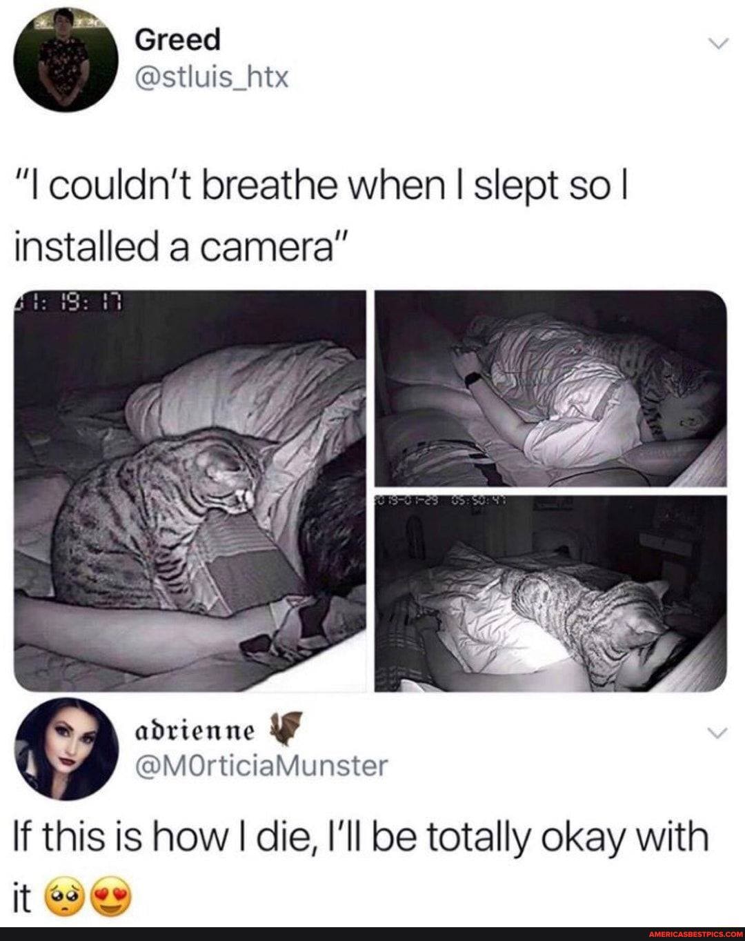 "I couldn't breathe when I slept so I installed a camera"
abdvienne
If this is how I die, I'll be totally okay with
it