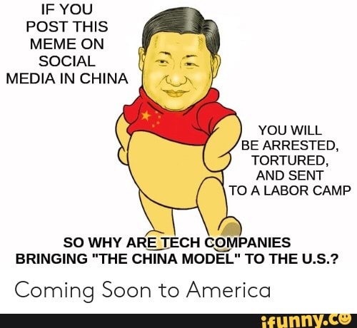 IF YOU POST THIS MEME ON SOCIAL MEDIA IN CHINA YOU WILL BE ...