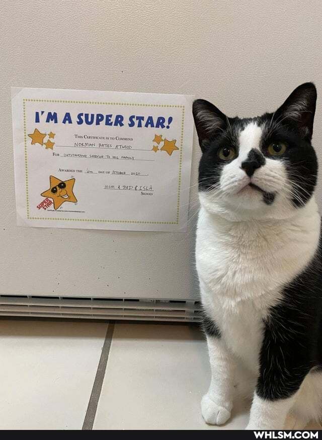I'M SUPER STAR!
yer wn