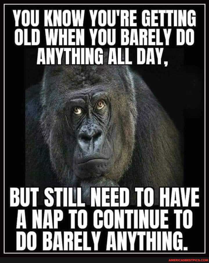 YOU KNOW YOU'RE GETTING OLD WHEN YOU BARELY DO ANYTHING ALL DAY,
BUT STILL NEED TO HAVE NAP TO CONTINUE DO BARELY ANYTHING.