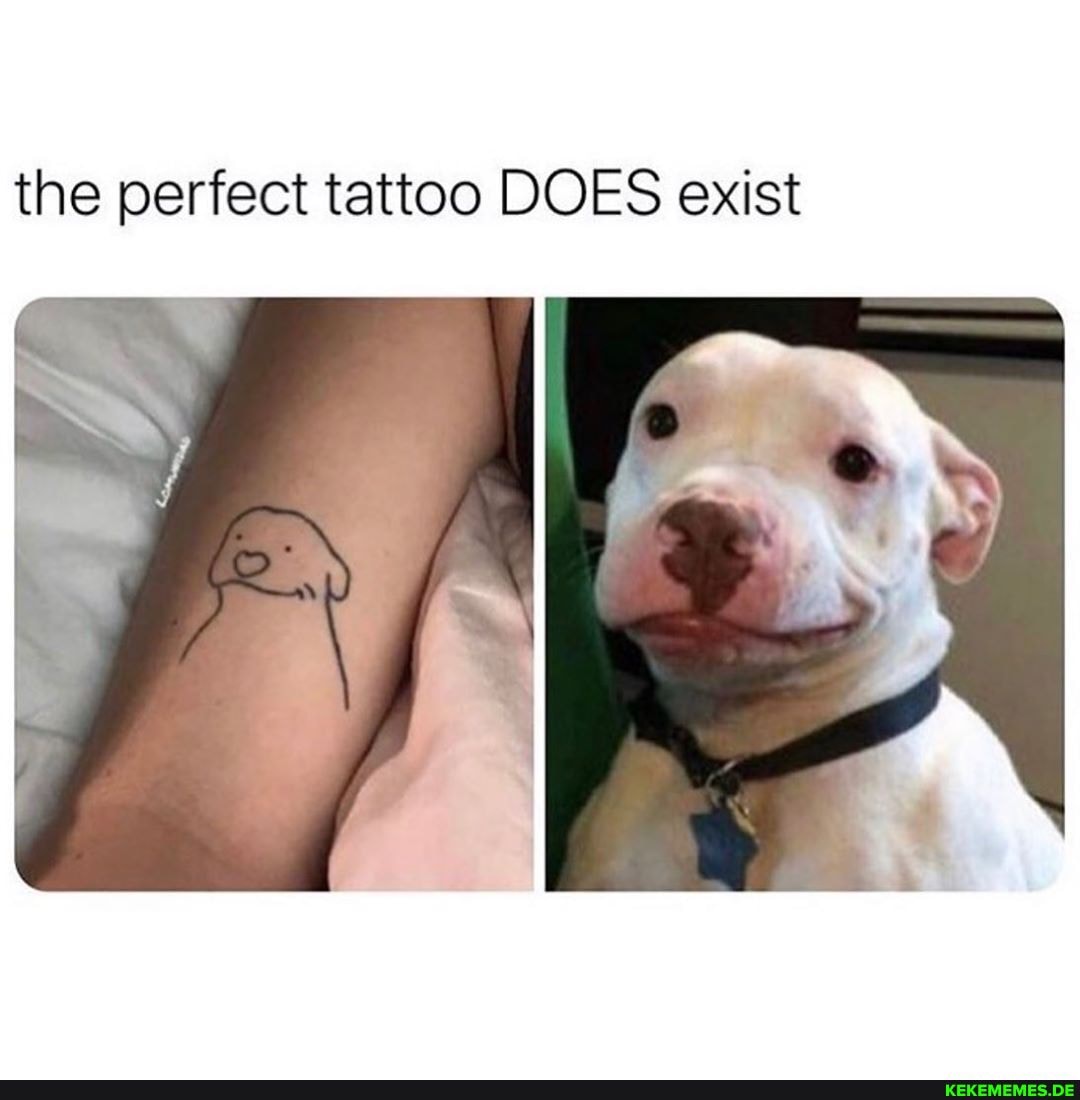 the perfect tattoo DOES exist