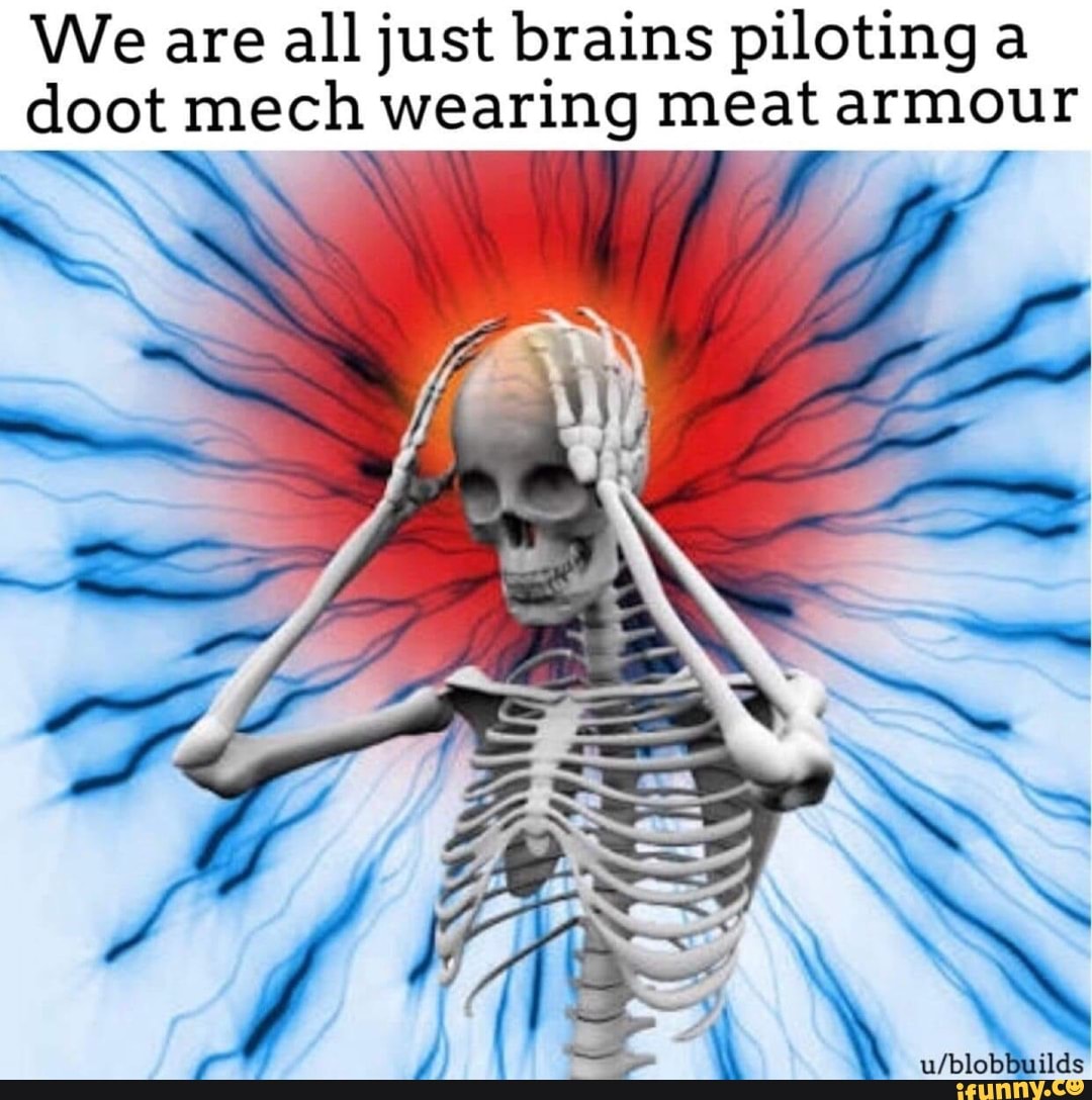 We are all just brains piloting a doot mech wearing meat armour iFunny