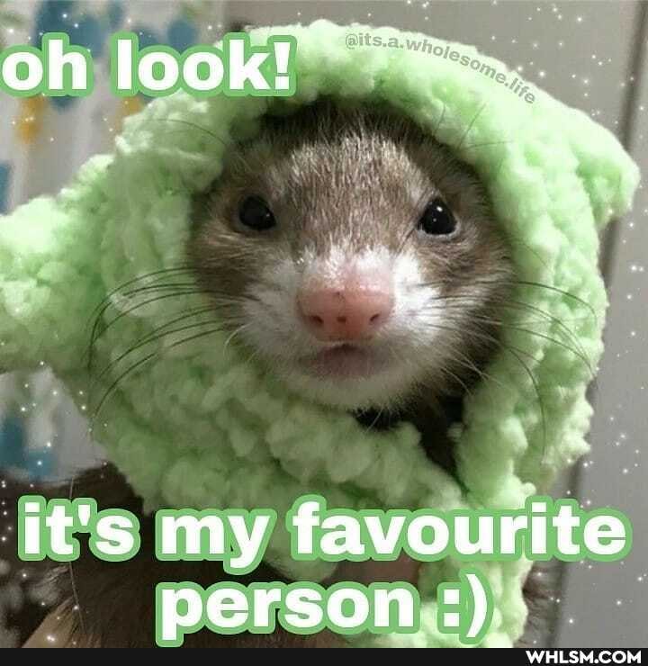 it's my favourite person