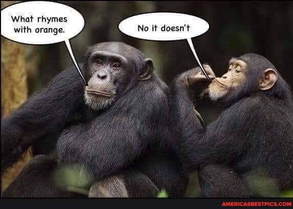 What Rhymes With Orange No It Doesn T America S Best Pics And Videos