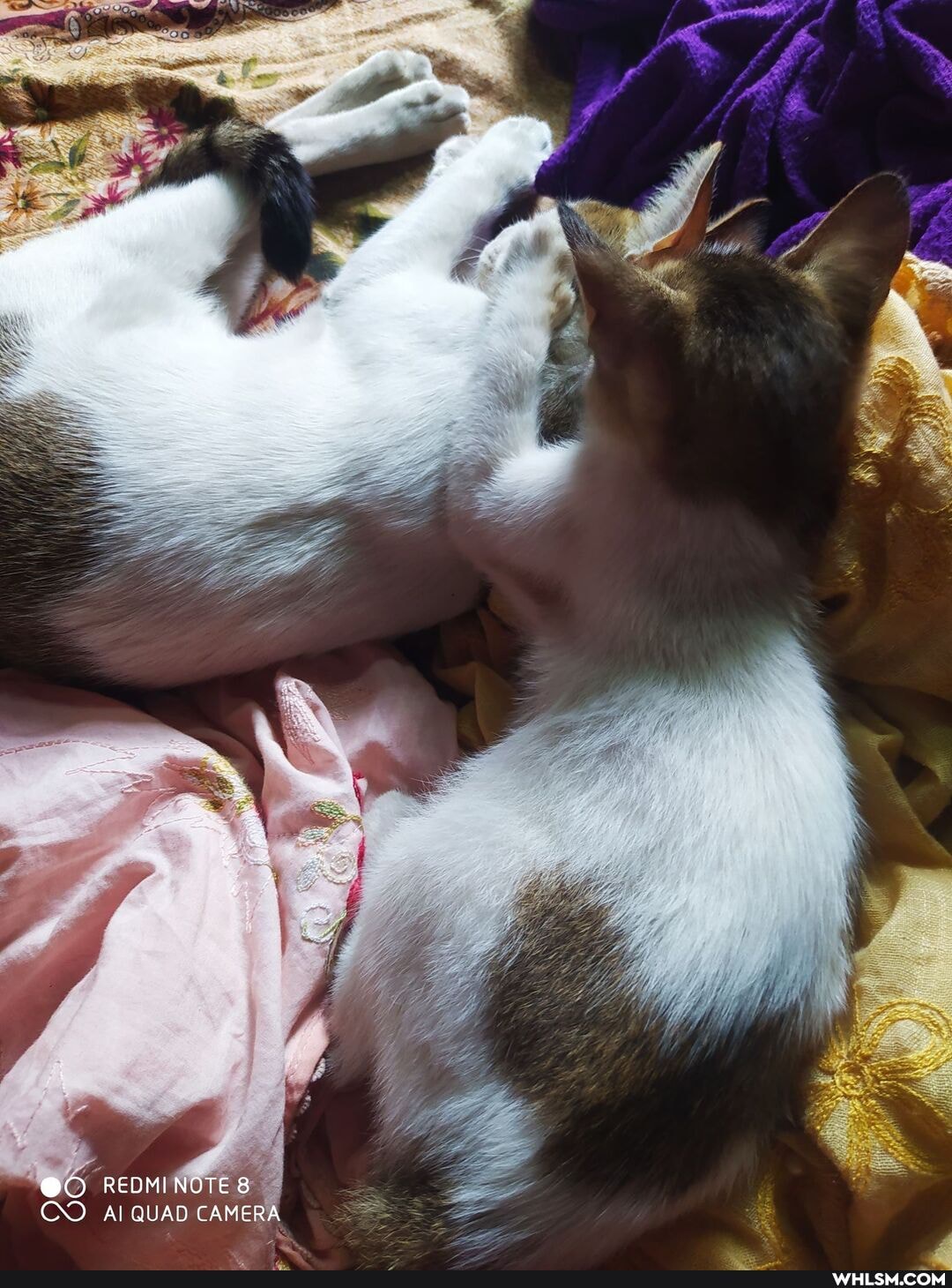 REDMI NOTE 8
CO ALQUAD CAMERA
