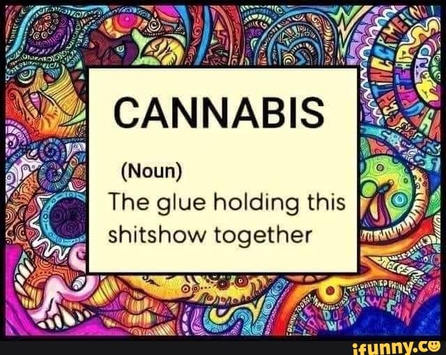 CANNABI
(Noun)
The glue holding this shitshow together