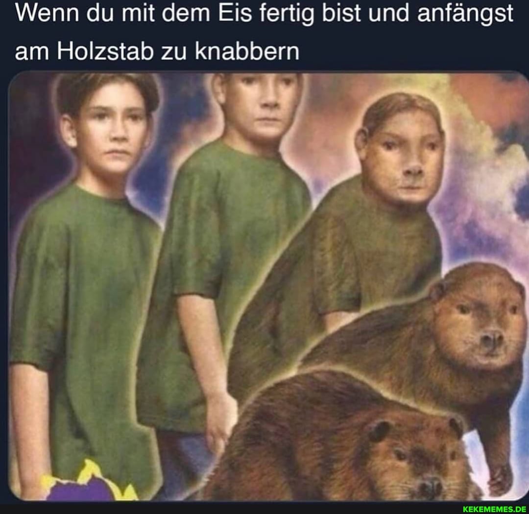 Wenn du mit dem Eis fertig bist und anfängst am Holzstab zu knabbern