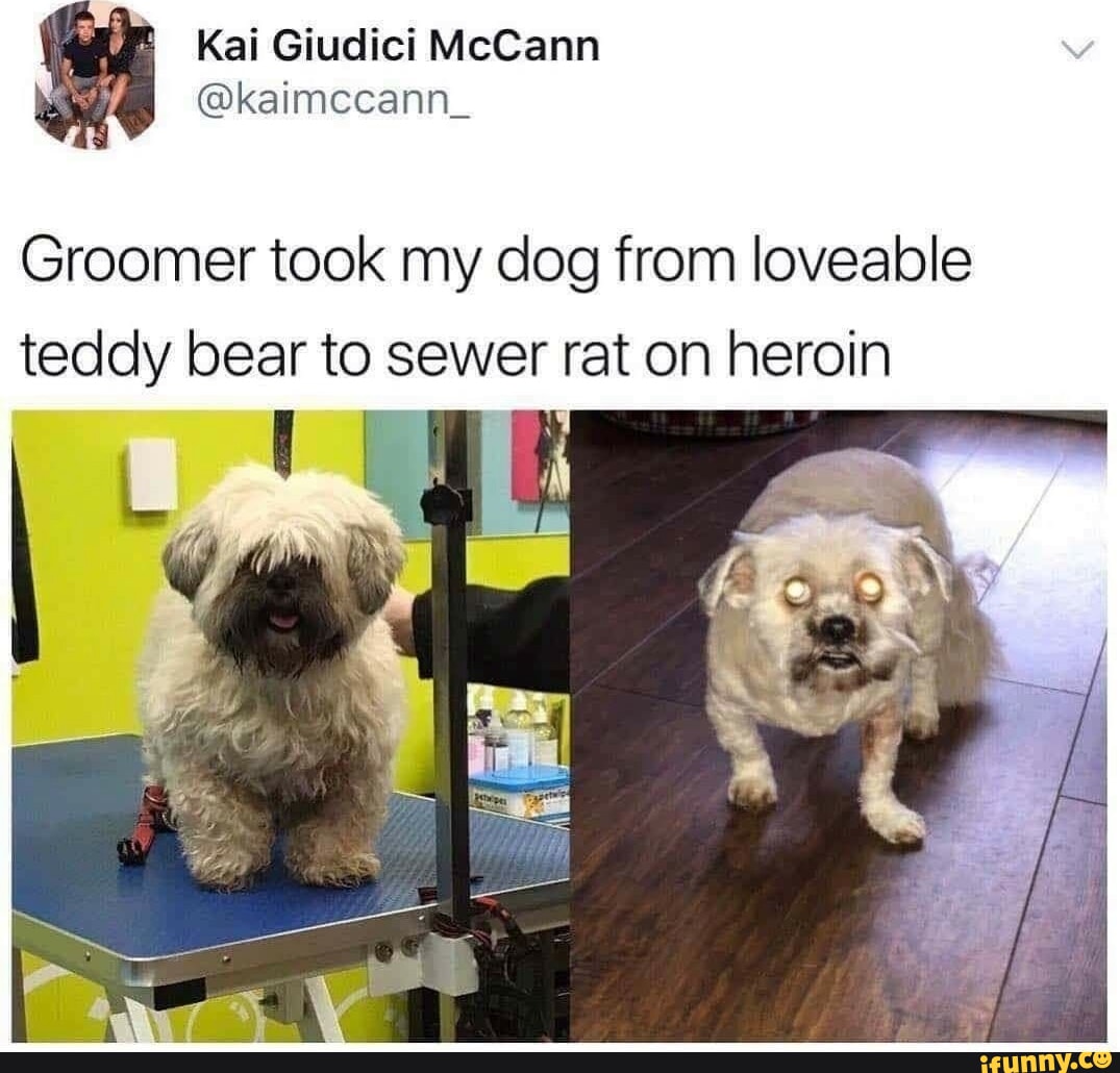 Anonymous No.873821562 164070951857.jpg 172 KB JPG Alright /b/, I made