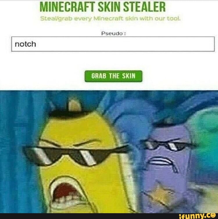 skin stealer minecraft tools