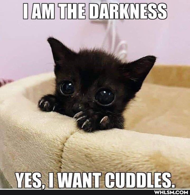 AM THE DARKNESS
VEC LIAANT