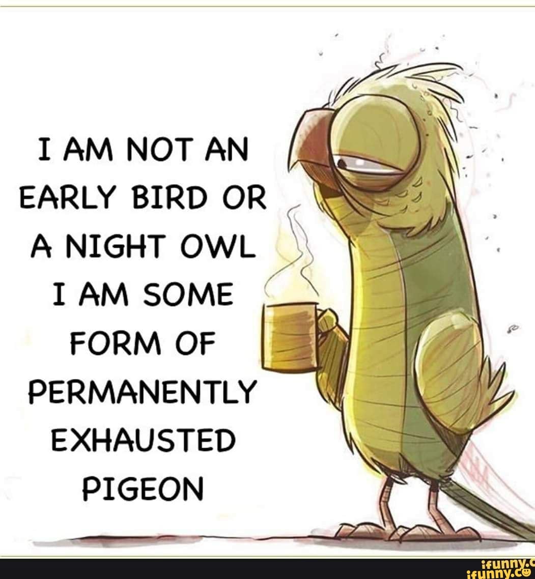 EARLY BIRD OR A NIGHT OWL TAM SOME FORM OF I PERMANENTLY EXHAUSTED