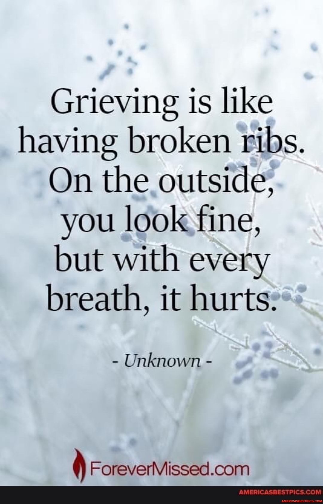 Grieving is like having broken 1 ribs.
On the outside, you look fine, butt with every breath, it hurts.
- Unknown
AMERIEASOLSTPICS COM