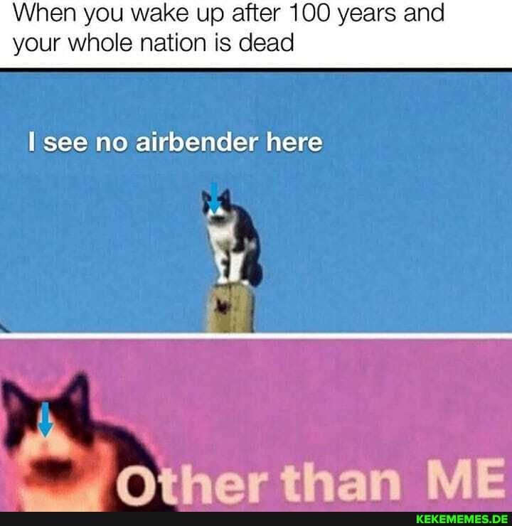 When you wake up after 100 years and your whole nation is dead
see no airbender here
Othar than ME