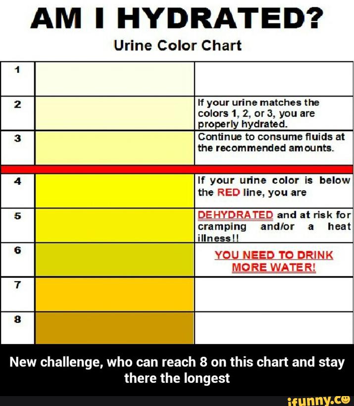 AM I HYDRATED? Urine Color Chart If your urine matches the colors 1, 2 ...