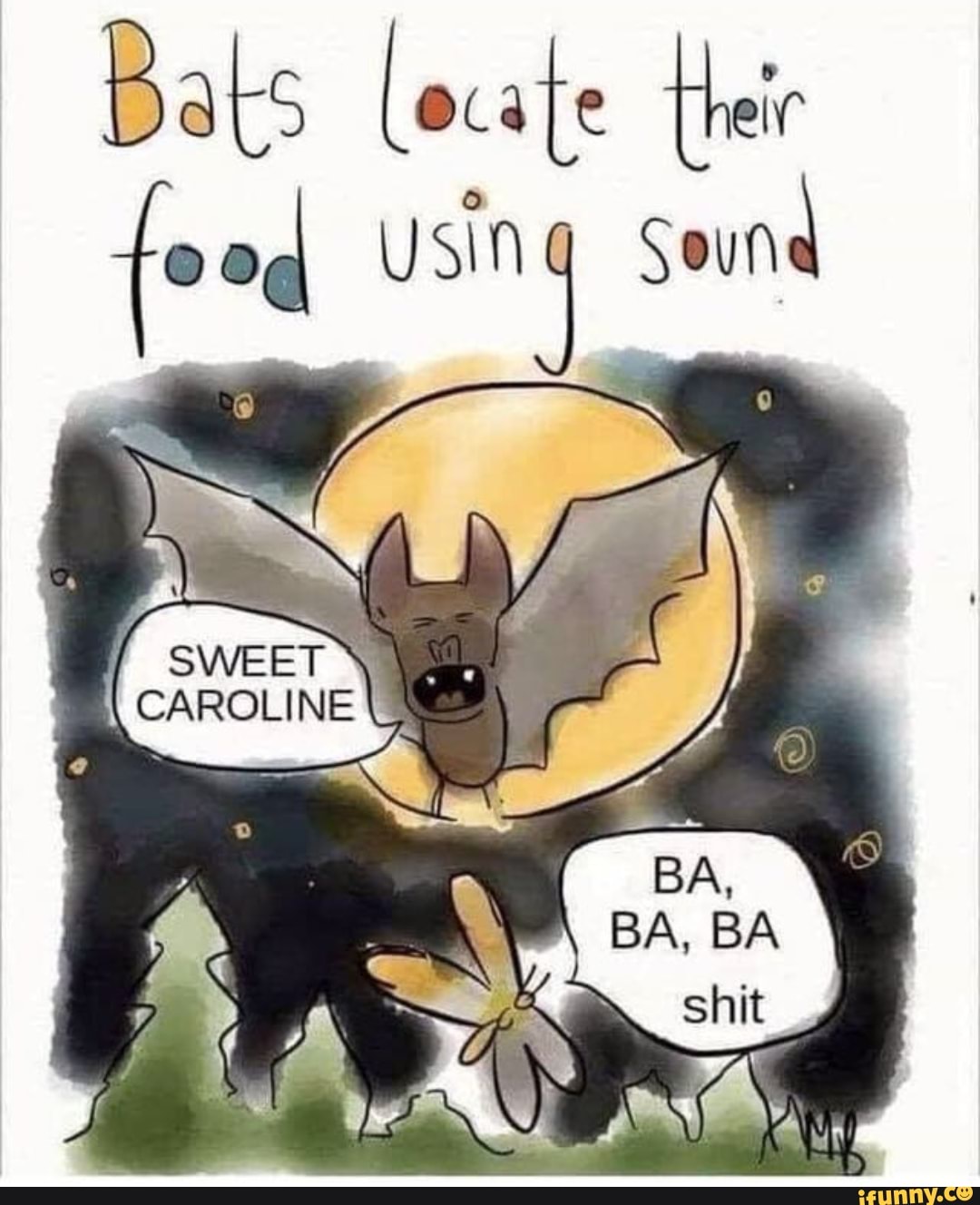 Bats locate their feed using Sound SWE BA, BA iFunny
