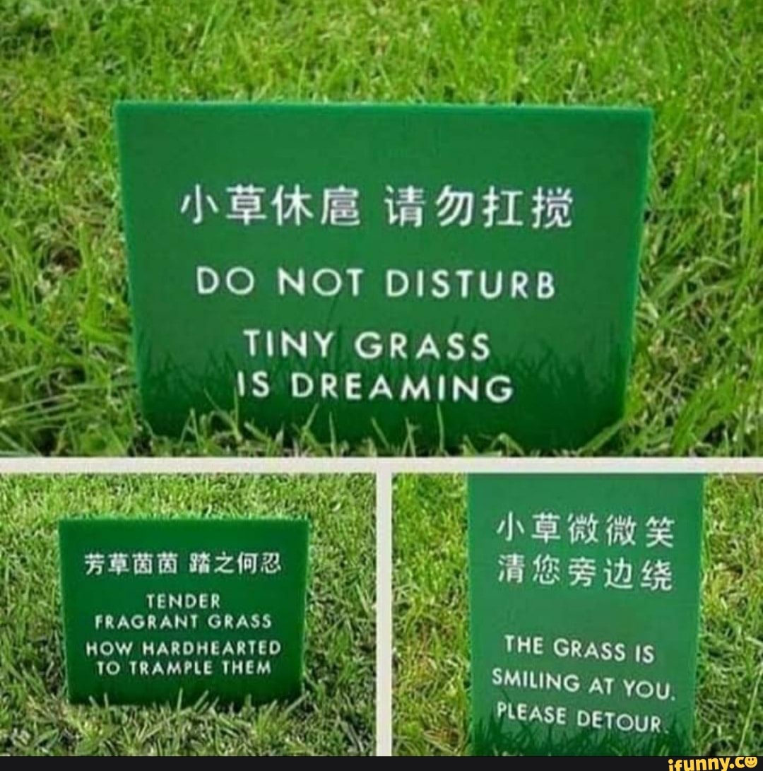 Be signed перевод. Touch grass что значит. Keep off the grass. Перевод not being. Sign Bad translations.