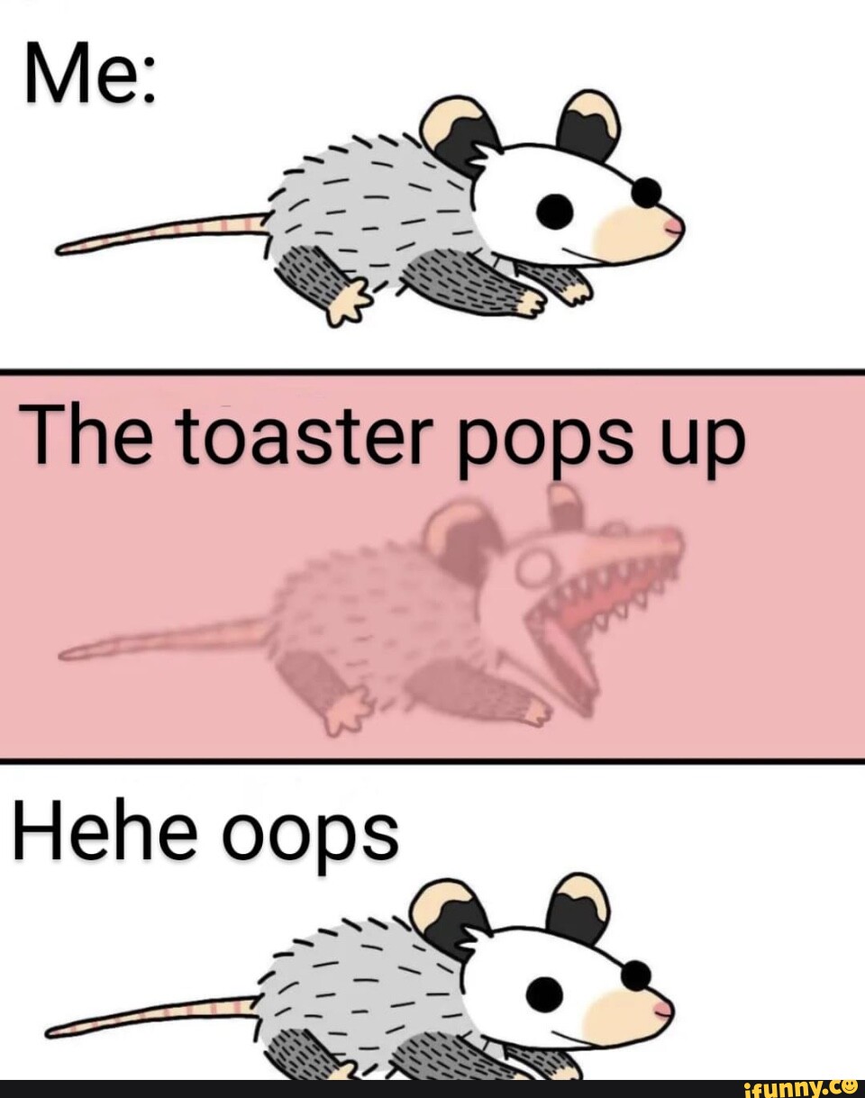 The toaster pops up Hehe oops iFunny